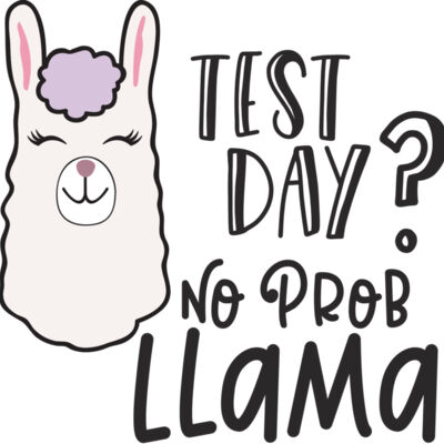 Test Day No Prob Llama Thumbnail