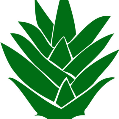 pineapple 05 Thumbnail