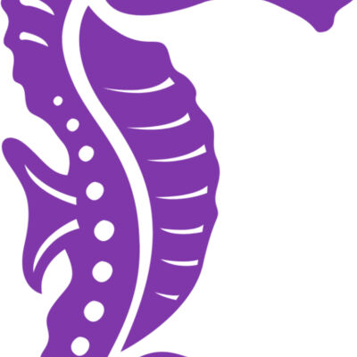 Seahorse 01 Thumbnail