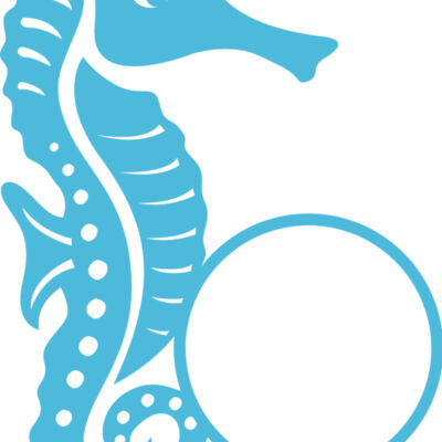 Seahorse 02 Thumbnail