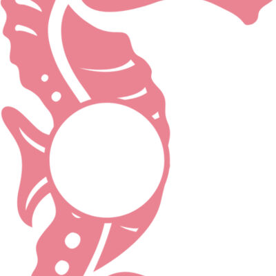 Seahorse 03 Thumbnail