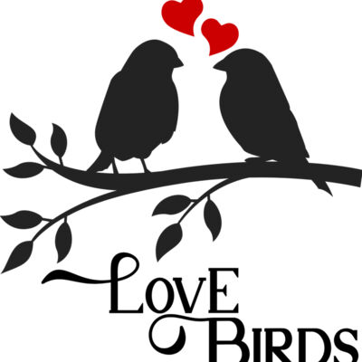 Love Birds Thumbnail