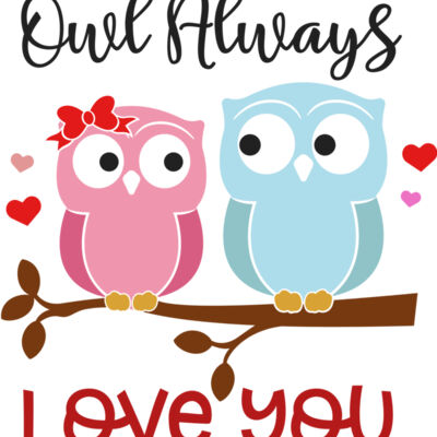 Owl always Love You Thumbnail
