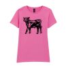 Softstyle™ women's ringspun t-shirt Thumbnail